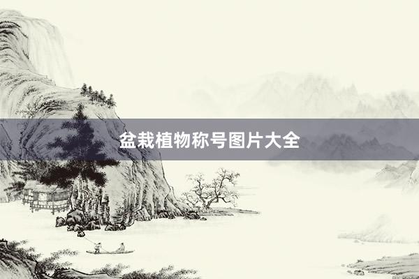 盆栽植物称号图片大全